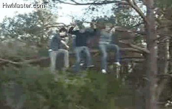 1250499942 tree branch saw fail