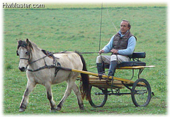 carrozza01