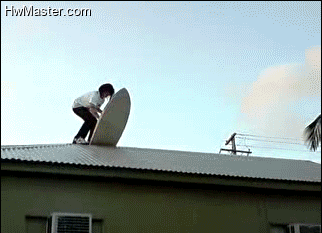 gif 1