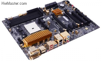 A85F2 A GOLDEN1 002