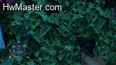 farcry3 d3d11 2012 12 01 18 29 23 846