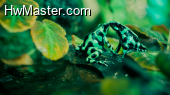 02534 slimyaffection 1920x1080