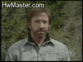 chuck norris paddle