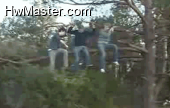 1250499942 tree branch saw fail