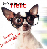 buon pomeriggio