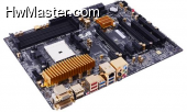 A85F2 A GOLDEN1 002